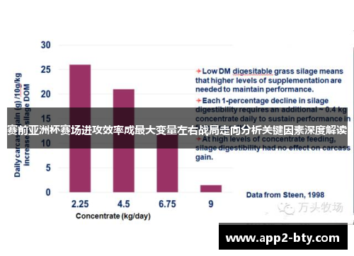 赛前亚洲杯赛场进攻效率成最大变量左右战局走向分析关键因素深度解读 赛前亚洲杯赛场进攻效率成最大变量左右战局走向分析关键因素深度解读